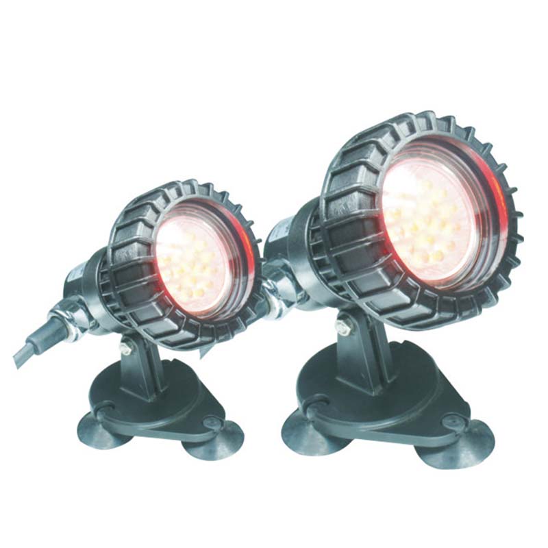 Fisk over under jorden Pond nedsænket lys